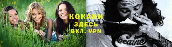 дурь Волосово